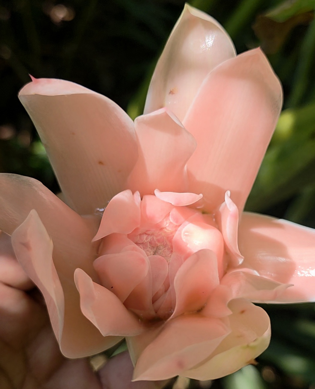 The Quiet Art of Growing Older